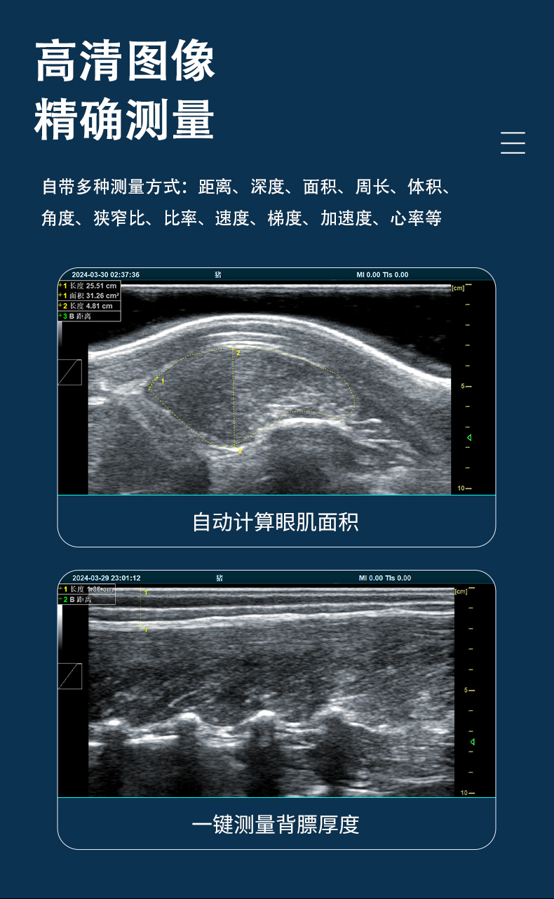 高清猪牛羊眼肌测定仪