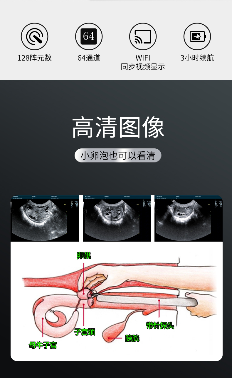 牛马采卵B超机